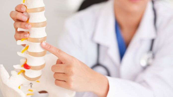 Az ágyéki osteochondrosis magyarázata a gerinc modelljén